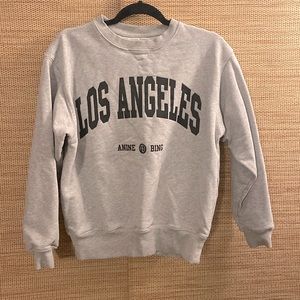 Great Condition Anine Bing Sweatshirt